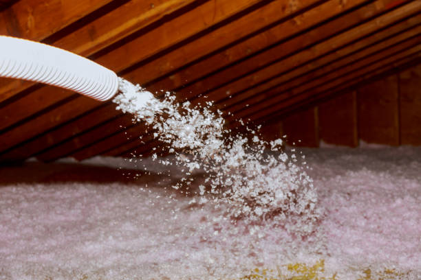 Best Geographic-Specific Insulation Services in Seacliff, CA