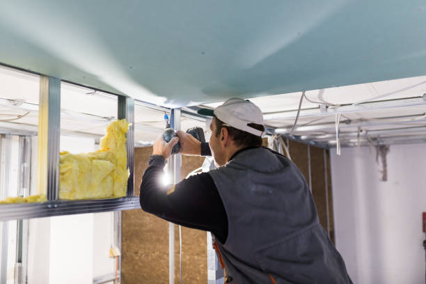 Types of Insulation We Offer in Seacliff, CA