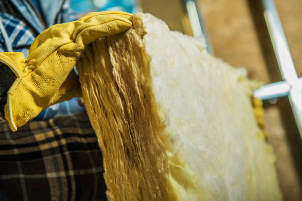 Best Cellulose Insulation in Seacliff, CA