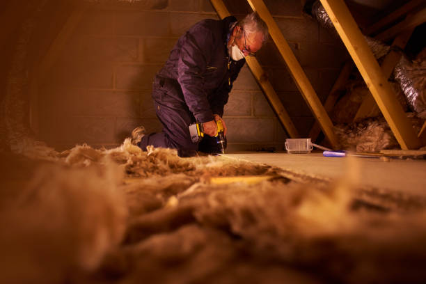 Best DIY Insulation Kits and Guidance in Seacliff, CA